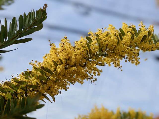 私たちについて